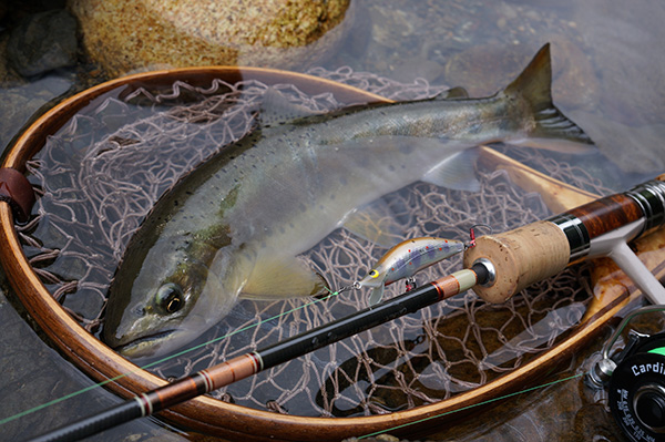 Casket カスケット｜トラウト、バス、ソルトルアー専門店｜通販可能｜