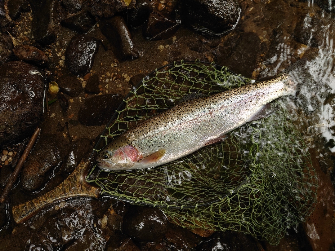 漆田 様の釣果投稿｜Casket カスケット