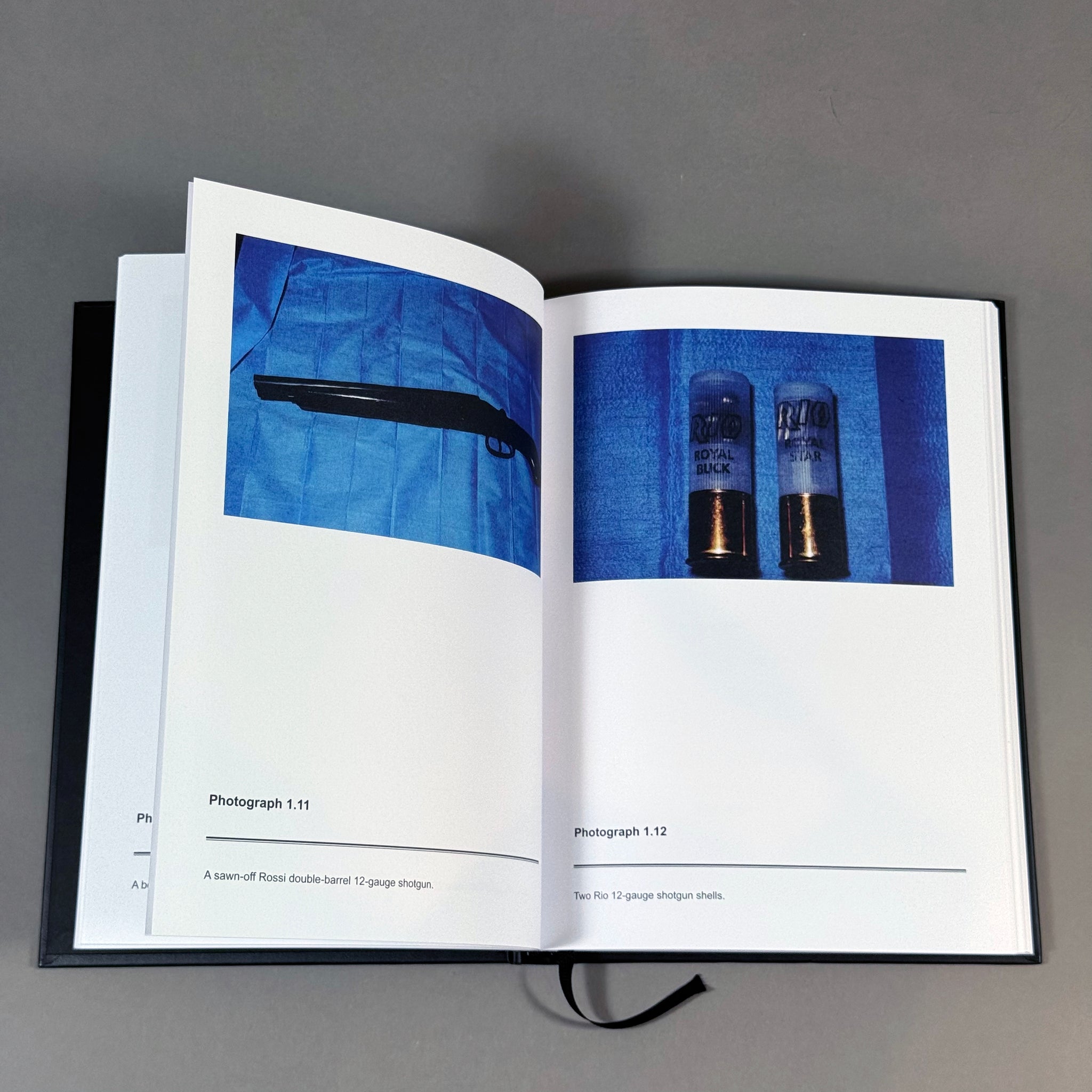 THE DIARY OF A HITMAN