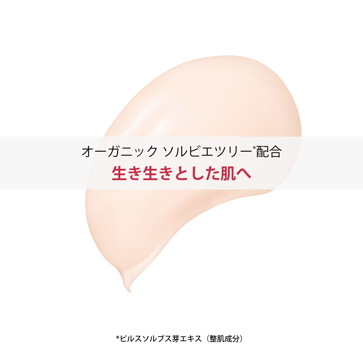 スープラ ナイト クリーム N オールスキン | CLARINS® 公式通販 | CLARINS®