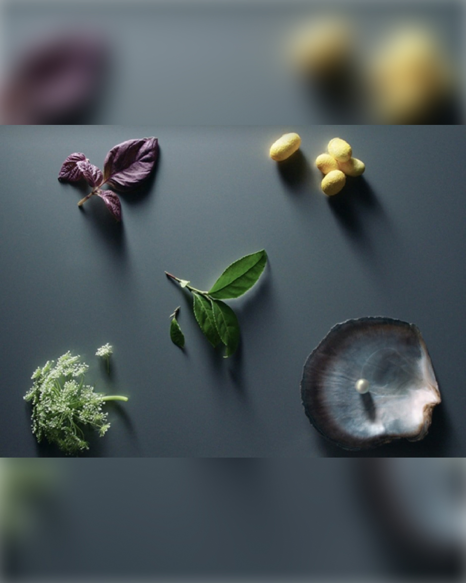 セラムコンサントレエクレルシサンn - 美白美容液 - スキンケア