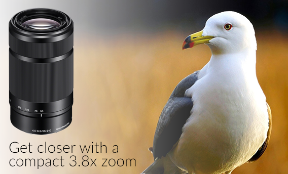 Sony E 55-210mm f4.5-6.3 OSS Lens (Black) | Clifton Cameras