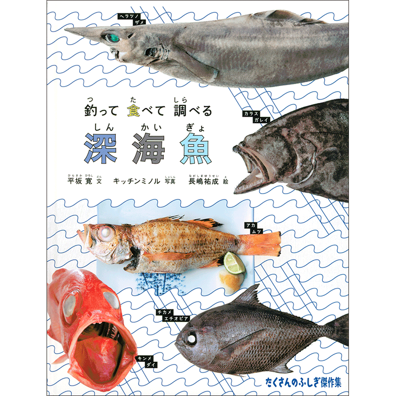 釣って 食べて 調べる 深海魚／平坂寛 キッチンミノル 長嶋祐成｜絵本