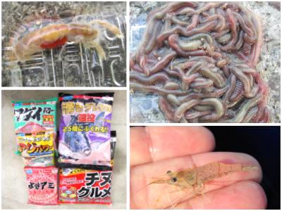 海釣りのエサ～生きエサから粉エサまでの対象魚種、価格相場、販売単位