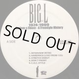BIG L / THE BIG PICTURE 1974-1999