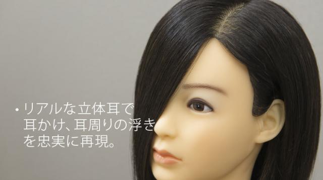 C Type カットウィッグ 高級タイプ (100%人毛) 5体set | Cutwig.jp