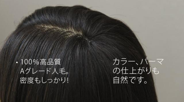 C Type カットウィッグ 高級タイプ (100%人毛) 5体set | Cutwig.jp