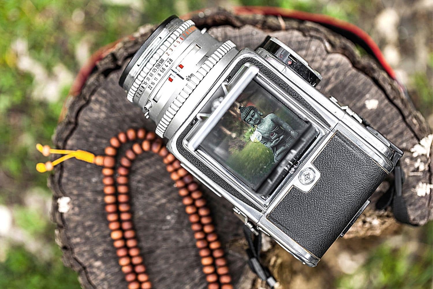 Hasselblad 500C M Review in 2026 - Medium Format Film Camera