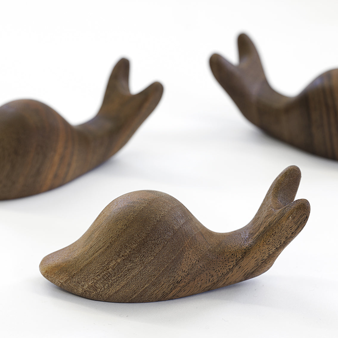 AMEICO - Official UK Distributor of IC Design - Antonio Vitali