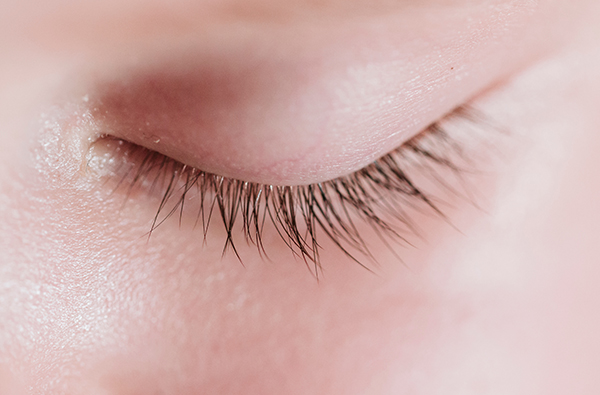 ラインリリース モイストアップ アイクリーム 20g | 国産オーガニック