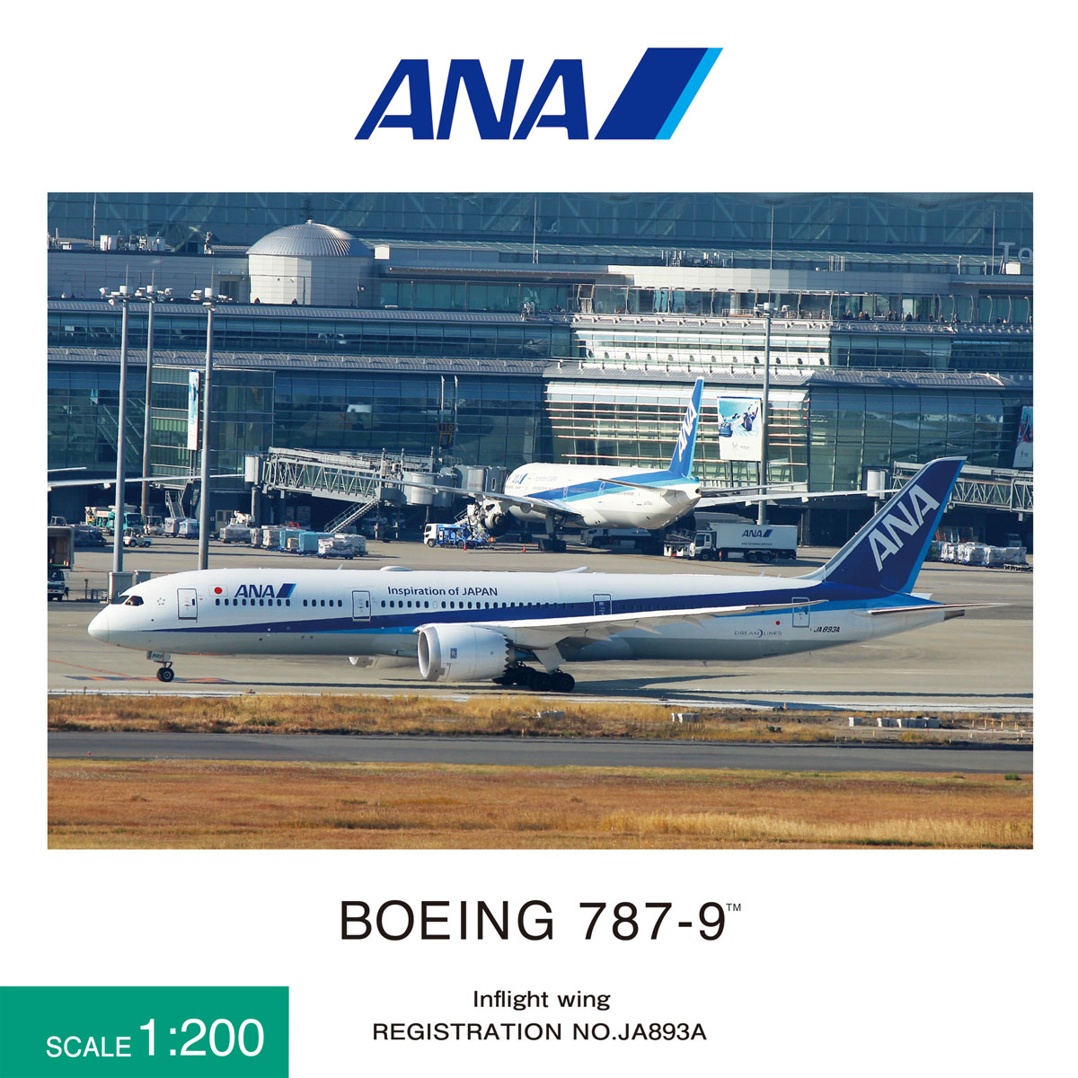 NH20131 1:200 BOEING 787-9 JA893A 完成品（WiFiレドーム・ギアつき