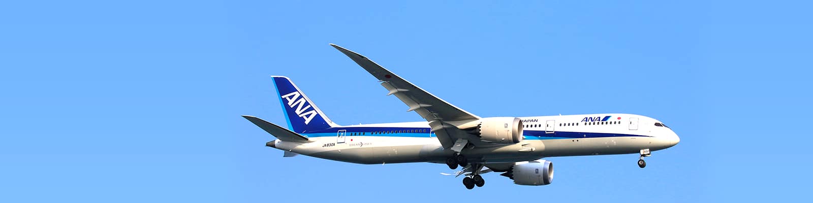 ANAのボーイング787各機材について|機種・シートマップ（座席）|国内線|ANA