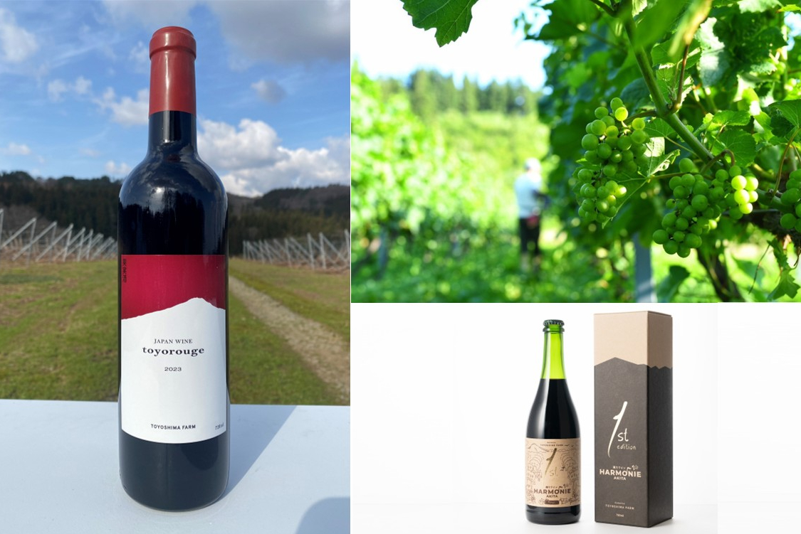 地元ワイナリー「TOYOSHIMA FARM」のワインをレストランにて提供開始