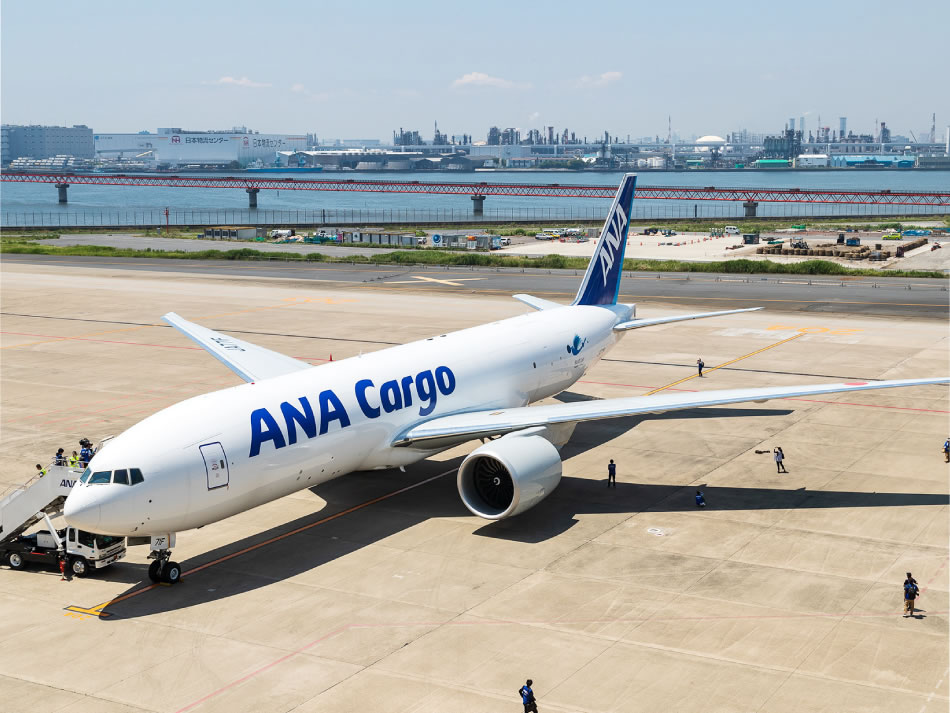 New Boeing 777F Aircraft Joins ANA!｜What's up? ANA｜ANA
