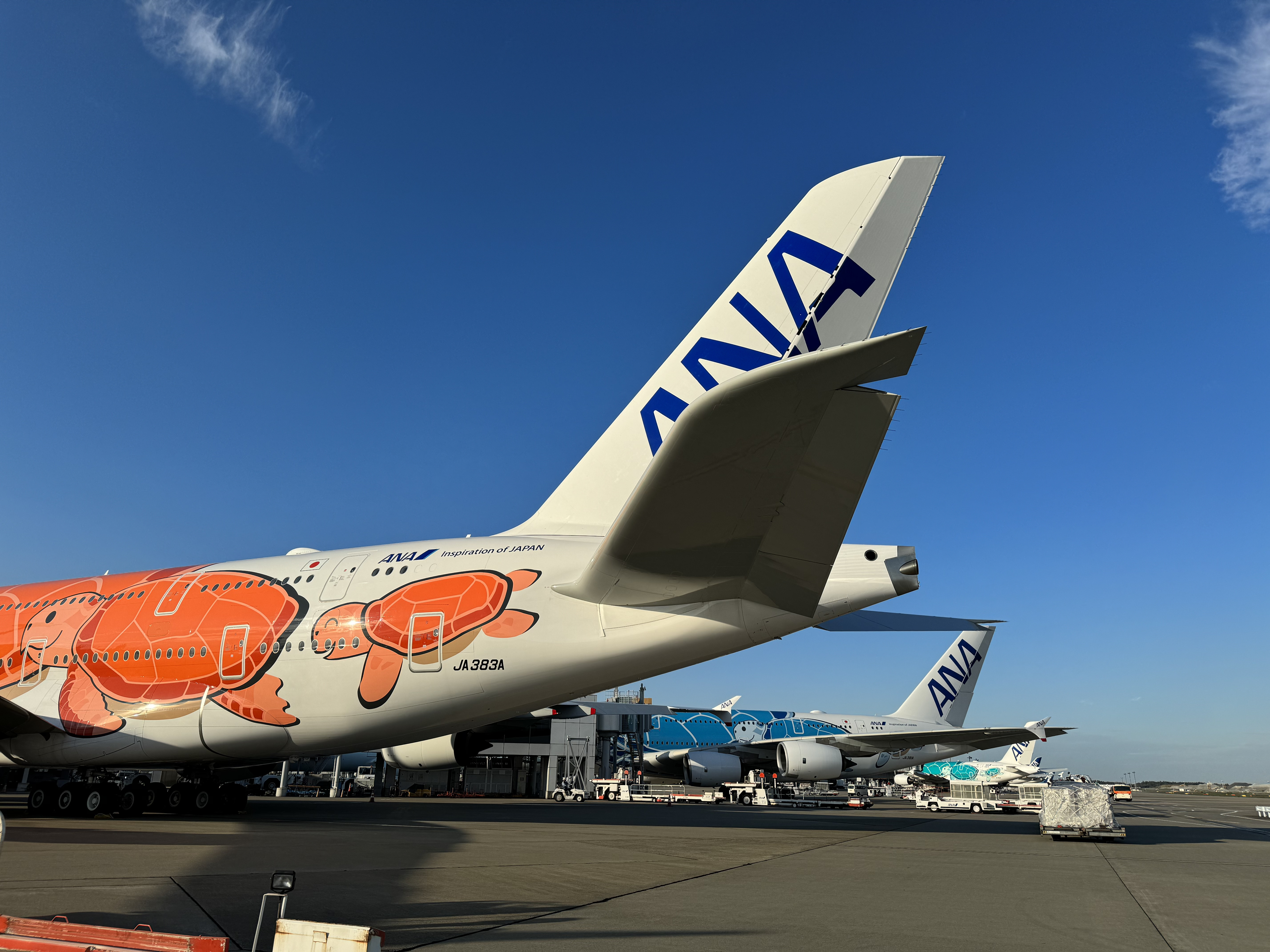 FLYING HONU3号機がようやく運航！｜LIVE ANA GROUP (ライブANAグループ）