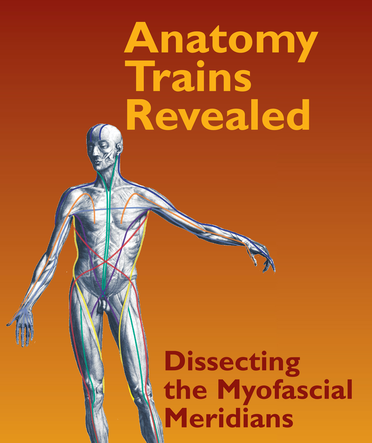 Anatomy Trains Revealed - Video Series with Tom Myers