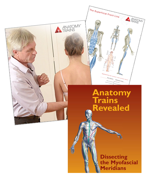 Dissection Bundle Video or Stream | Anatomy Trains