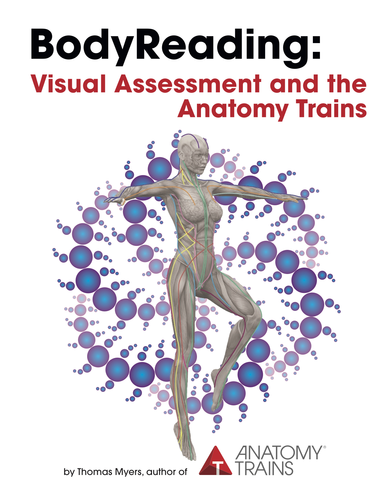 Visual Assessment and the Anatomy Trains By Tom Myers