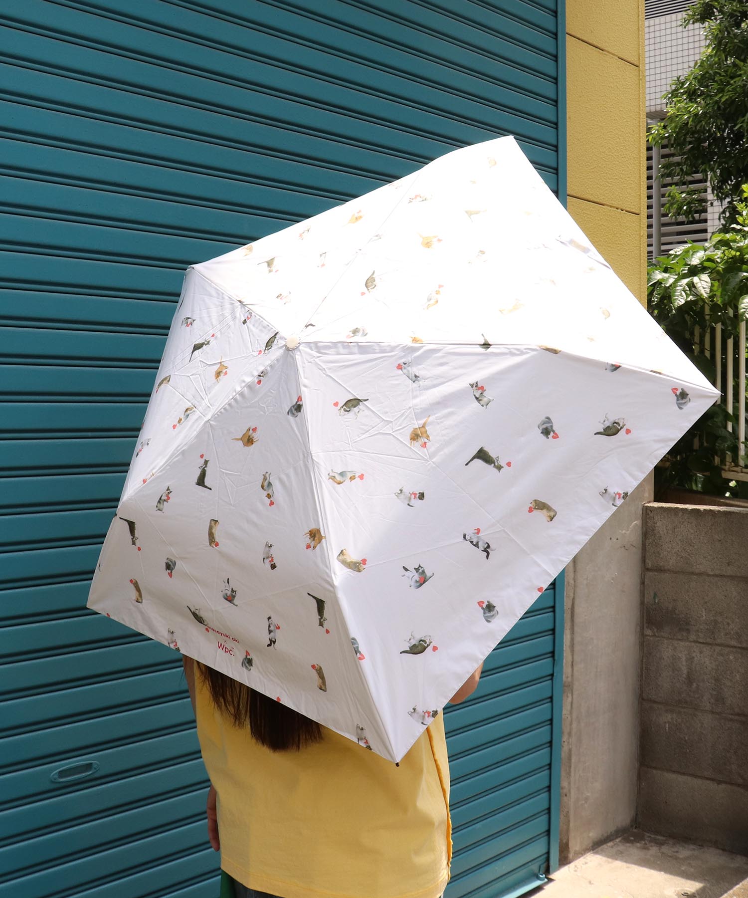 沖昌之×Wpc.】≪晴雨兼用＆遮光≫超軽量アンブレニャンmini | AND ON