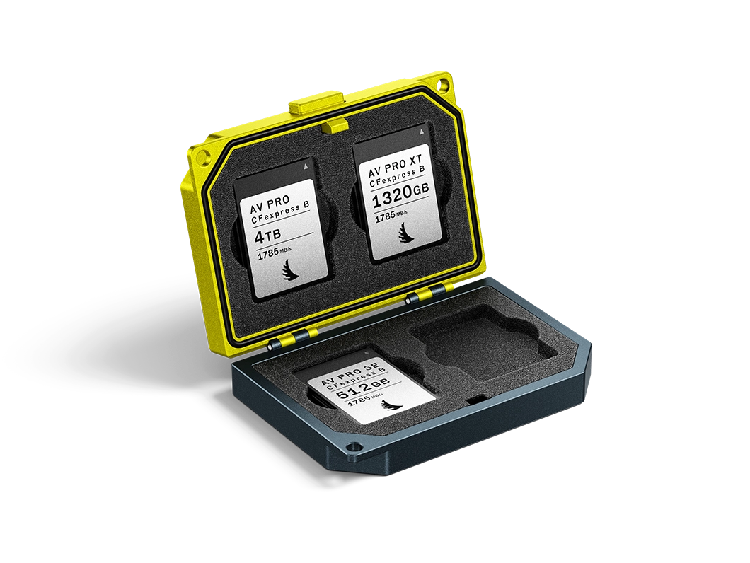 AV PRO SX CFexpress B | Angelbird