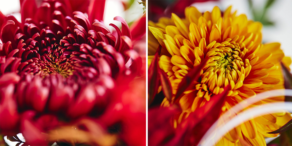 青山フラワーマーケット｜2023年ニュース｜青山フラワーマーケット