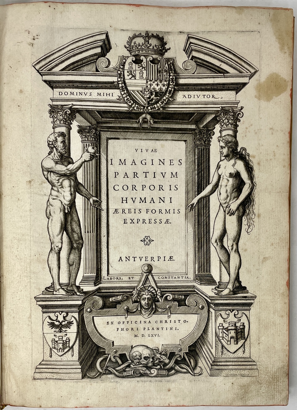 銅版画を用いた人体解剖図詳解』 - 青羽古書店 AOBANE Antiquarian