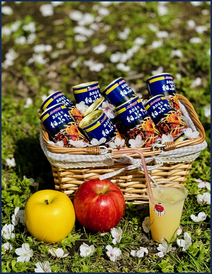 終了】青森りんご植栽150周年記念 フォロワー対象Xリポストプレゼント