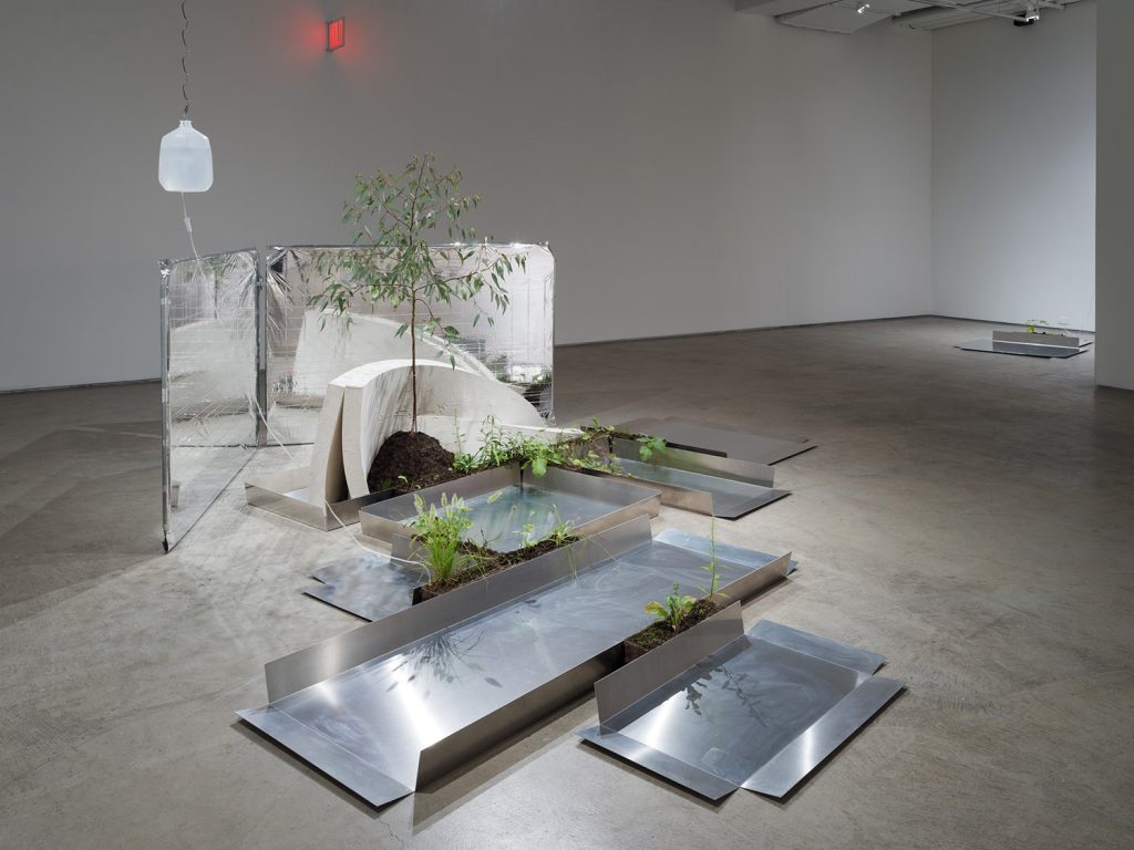 Into Performance: Japanese Women Artists in New York • Asia Art