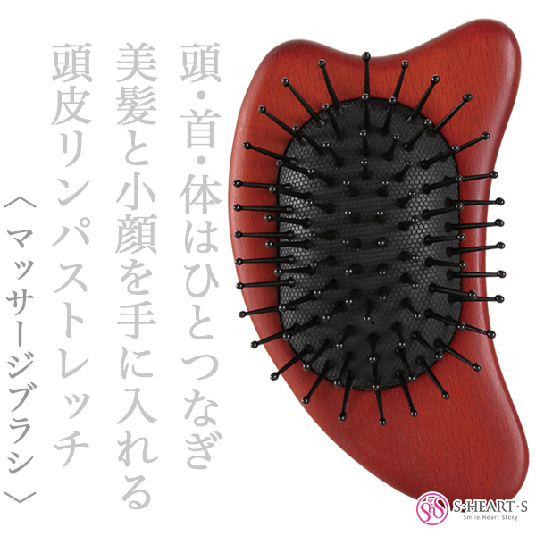 エスハートエス スカルプブラシ カッサブラシ【送 料無料】--の