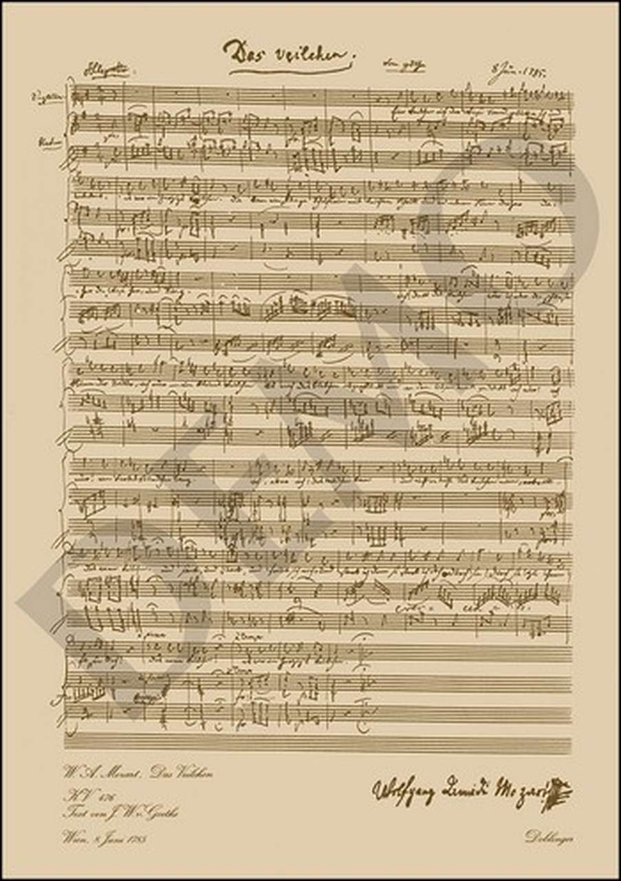 アカデミアミュージック / Das Veilchen, KV 476 ('Ein Veilchen auf