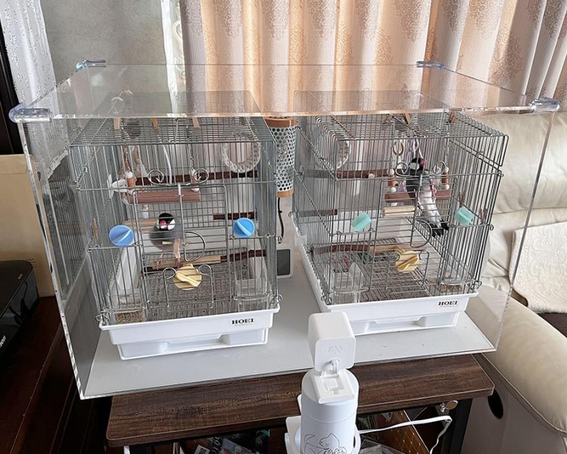 バードケージ（鳥かご）ケース | アクリ屋ドットコム