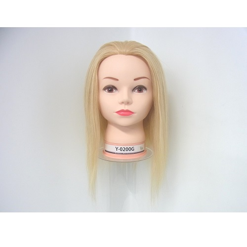 ユーカリ Y-0200G カットウィッグ