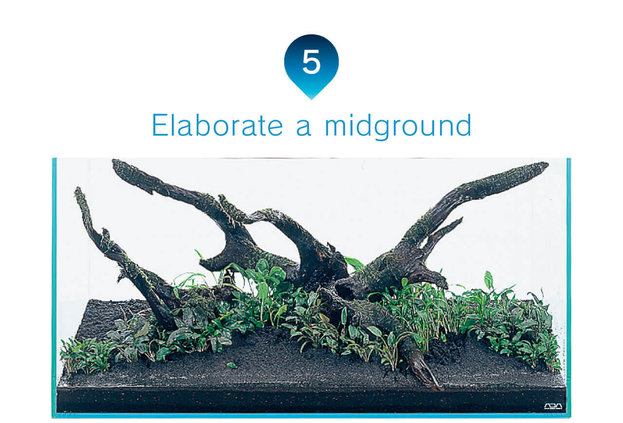 ADA - NATURE AQUARIUM