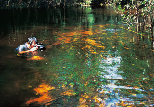 ADA - NATURE AQUARIUM - 天野尚