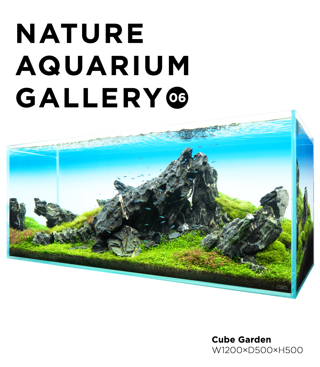 NATURE AQUARIUM GALLERY #08 「スピリット・オブ・ネイチャー
