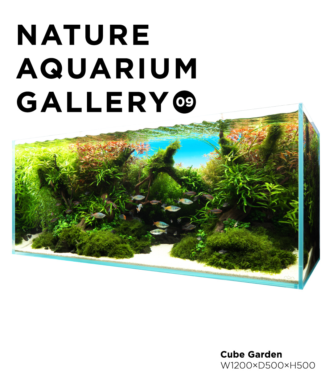 天野 尚 作品集『THE ART OF NATURE AQUARIUM』一般販売開始のお知らせ
