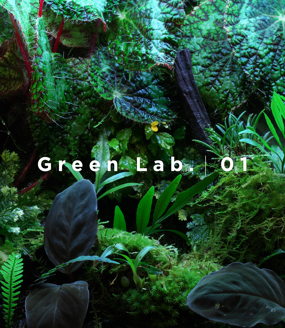 アクアジャーナル | AQUA DESIGN AMANO