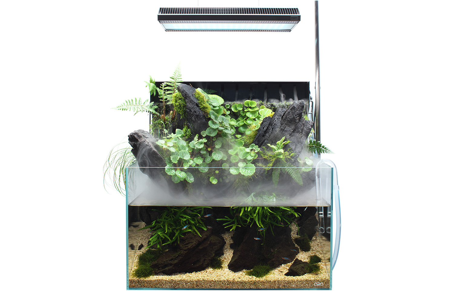 Release Announcement of New Cube Garden Sizes | ADA - NEWS RELEASE