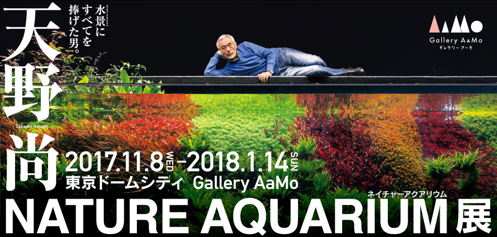 天野 尚 NATURE AQUARIUM展 特設ページを公開しました。 | ADA - NEWS