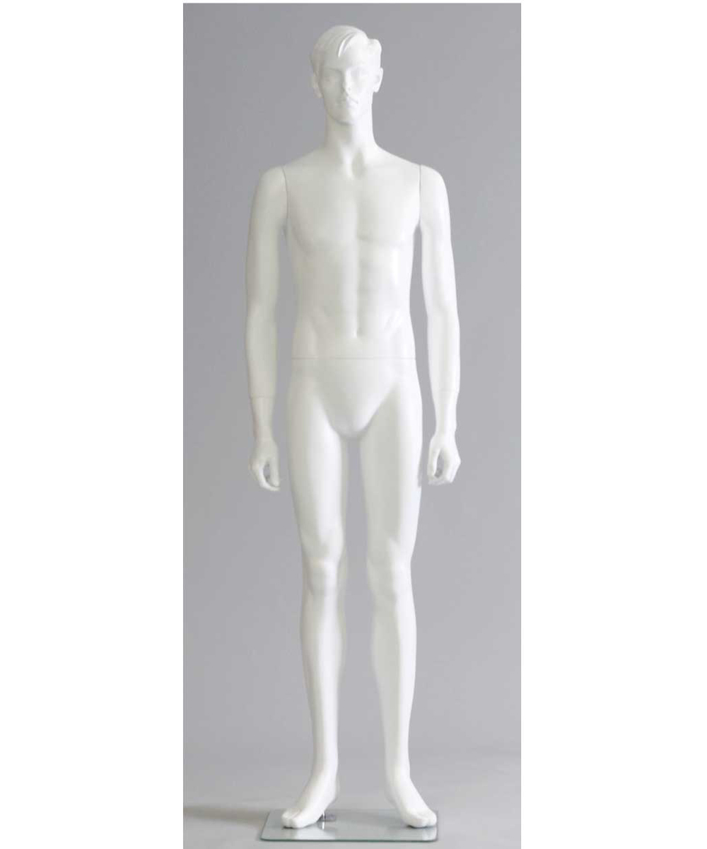 Iain イアン M271｜スカラ（彫刻的）メンズマネキンレンタルなら