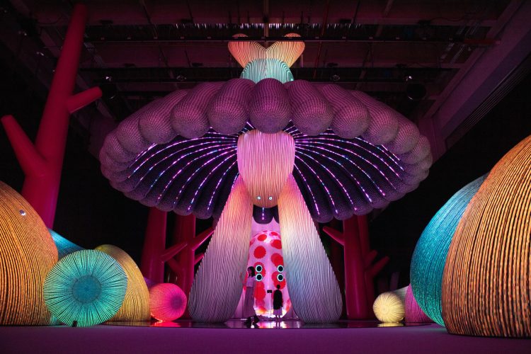 FRAME Exhibition of the Year受賞「Modern Guru and the Path to