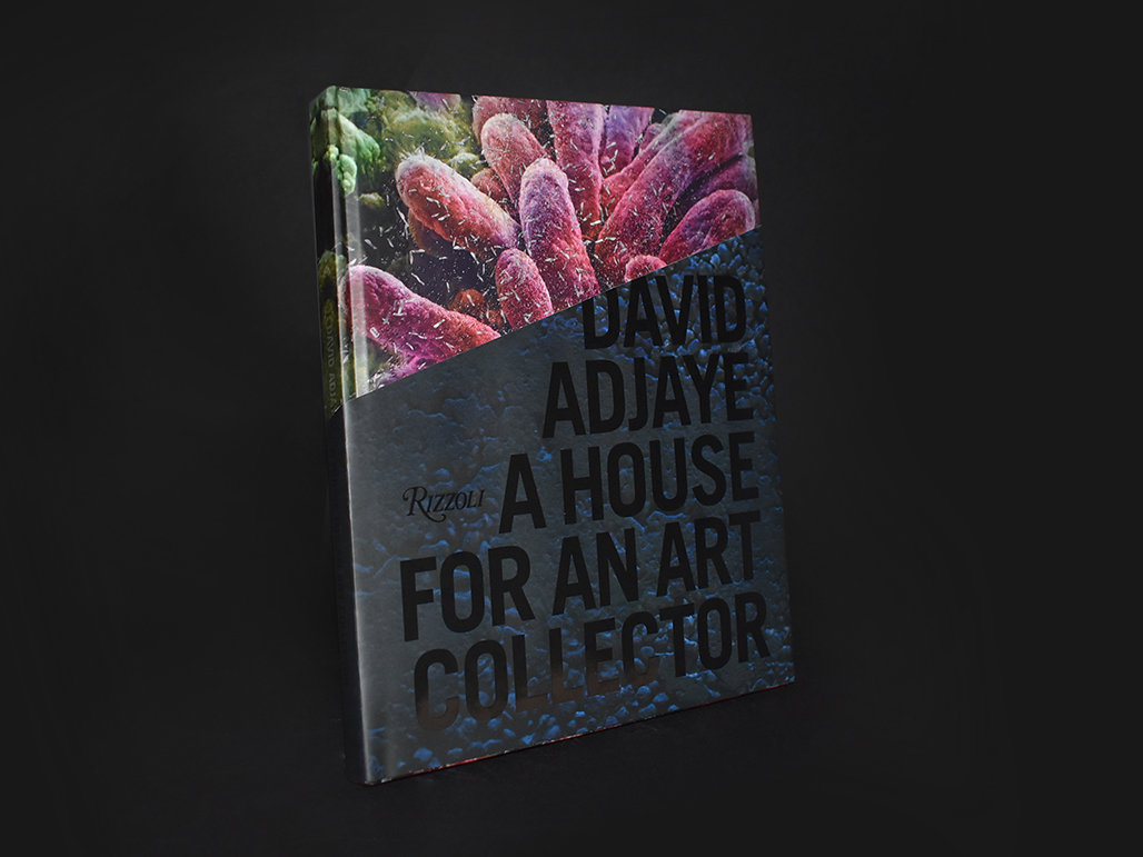 David Adjaye: A House for an Art Collector - Adjaye Associates