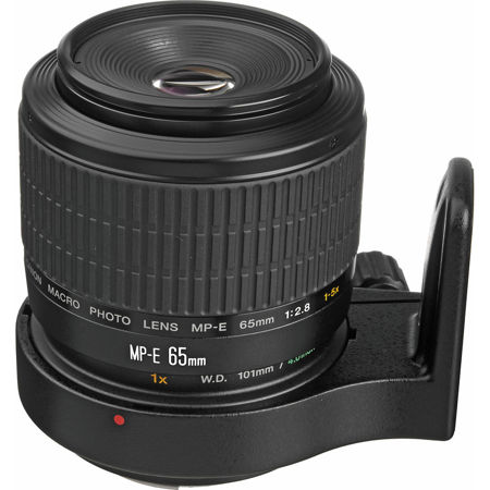 Canon MP-E 65mm f/2.8 1-5x Macro Photo Lens - Adorama