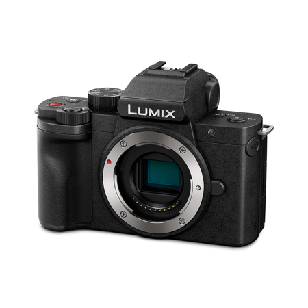 Panasonic LUMIX DC-G100D Mirrorless Camera w/G Vario 12-32mm f/3.5