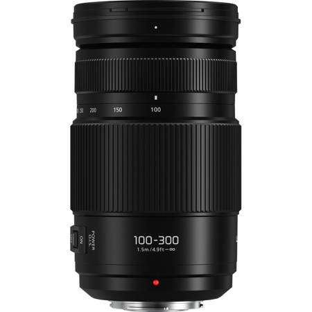 Panasonic LUMIX G Vario 100-300mm f/4.0-5.6 II Lens for Micro Four