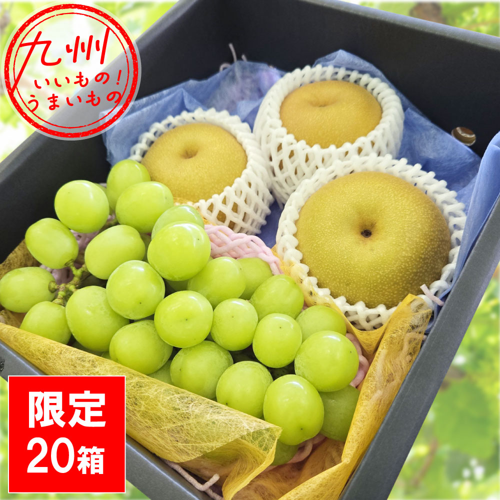 シャインマスカット+甘太 (ぶどう・梨セット) 1.4kg以上 霧島さくら