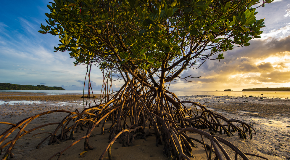 三好 和義 | 写真素材・ストックフォトのアフロ