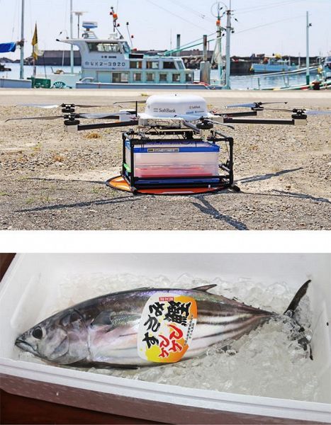 新鮮なカツオ空を飛ぶ ドローンで漁港から飲食店へ：紀伊民報AGARA
