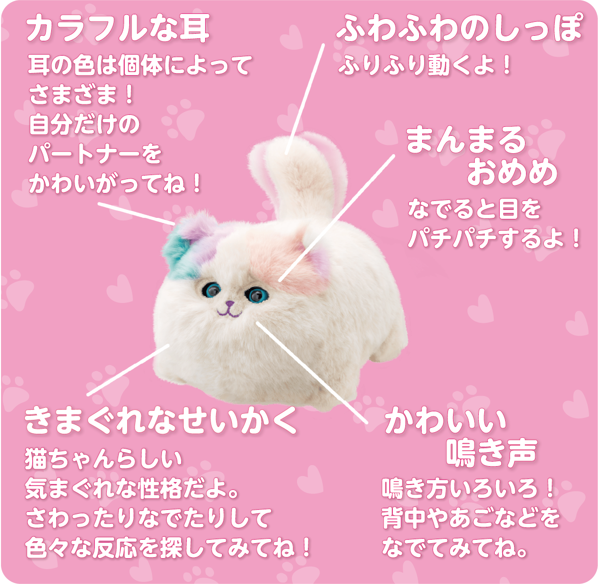 ニャンだきみは！？ ワンだきみは！？｜PINOCCHIO｜株式会社アガツマ