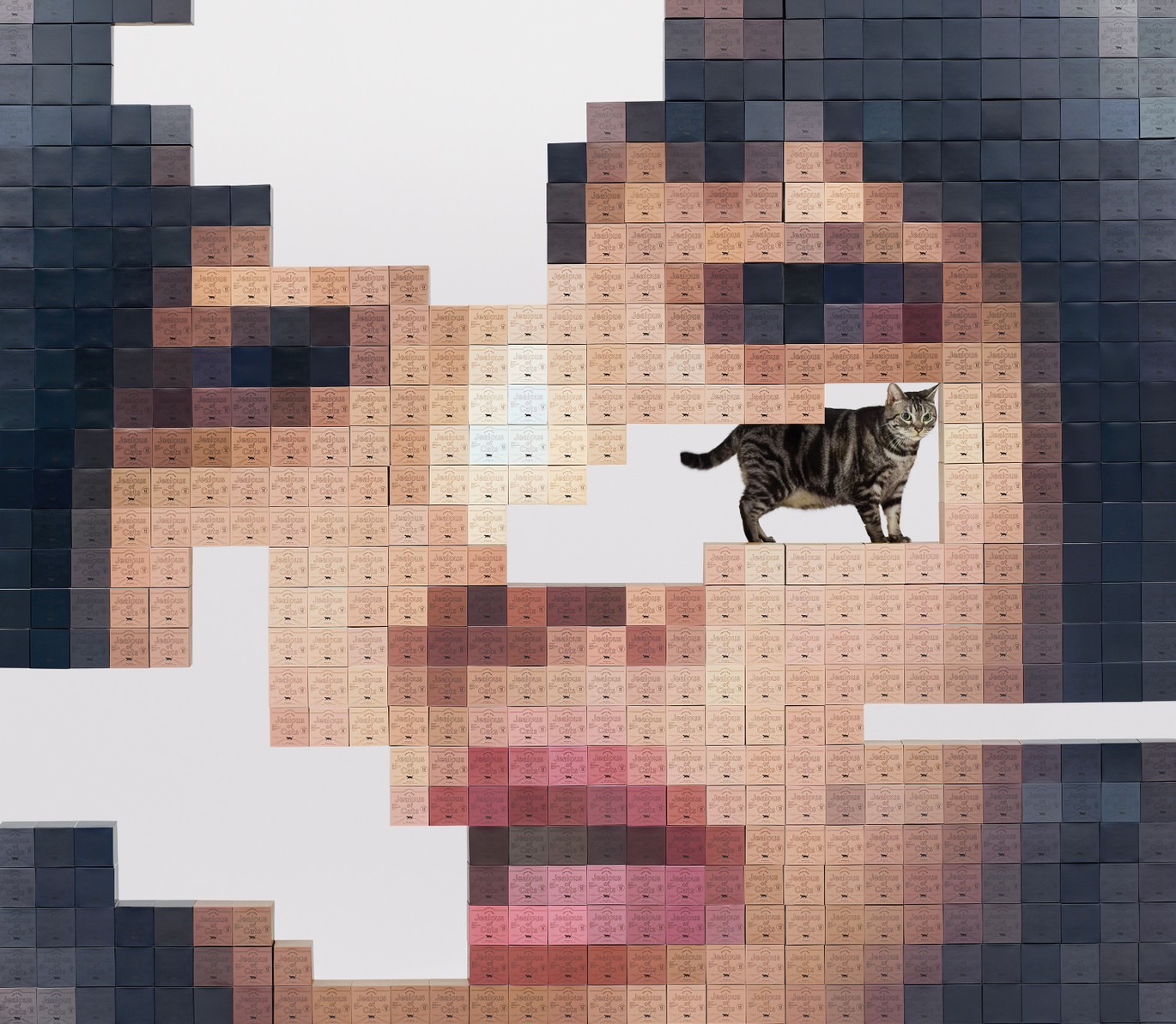 AIM STORE にて5th ALBUM「猫にジェラシー」ご予約スタート！｜あい